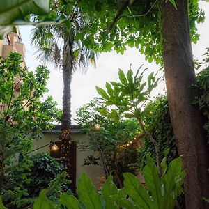 Secret Garden In The Heart Of Isola